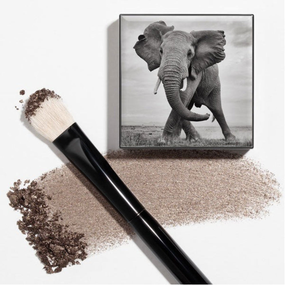 Chantecaille Shade and Sweep Eye Brush