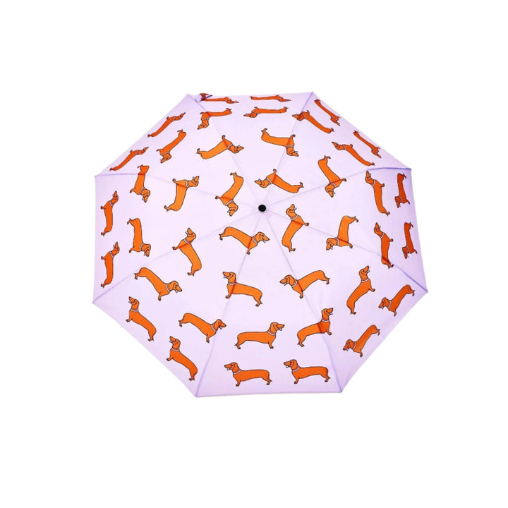 Dachshund Umbrella