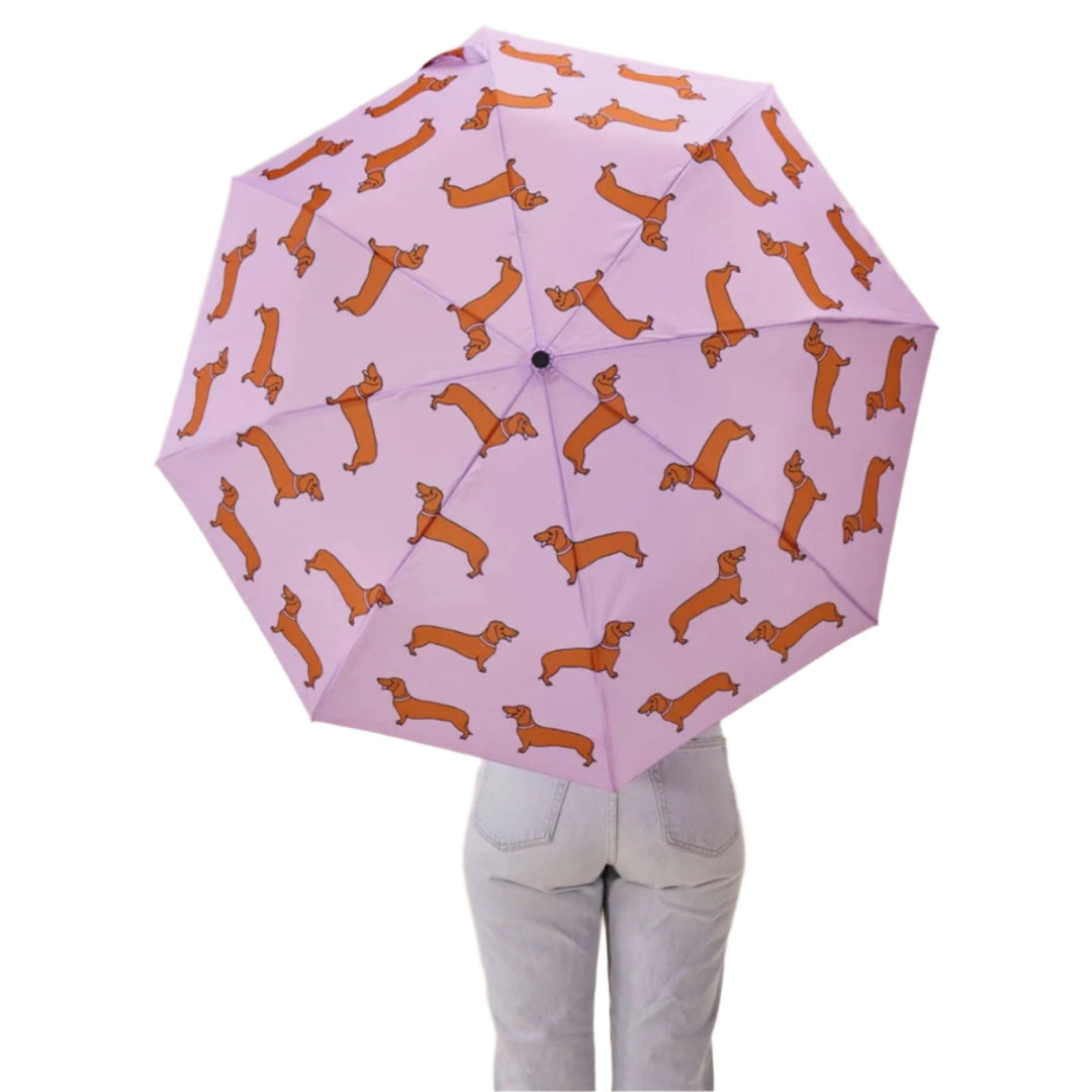 Dachshund Umbrella