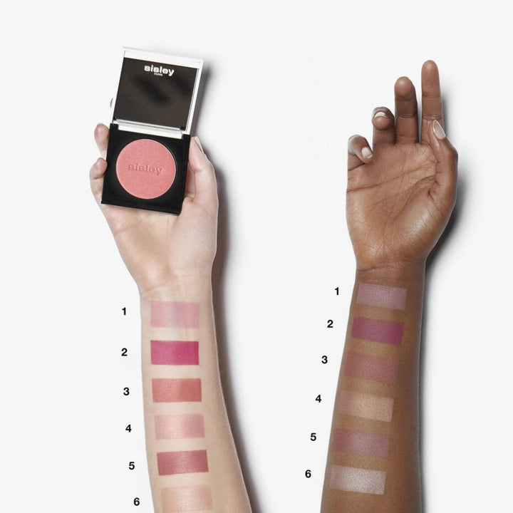 Le Phyto Blush 6 Shimmer