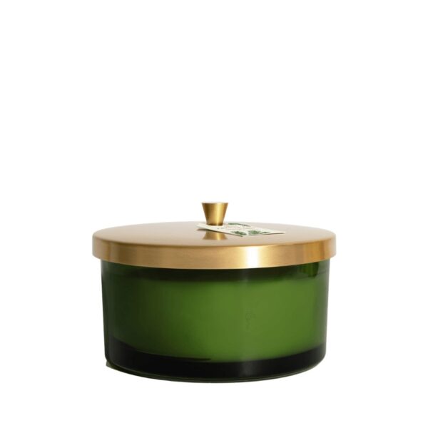 An impressive and stunning centerpiece for your home, experience the beloved Frasier Fir fragrance with this 4-Wick candle. Fragrance notes of Siberian fir, cedarwood, and sandalwood come to life with this deep green glass vessel, topped with a brushed gold lid and hang tag.